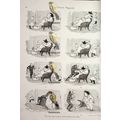 Grandpa's Wig , Victorian Children's Humour, Bo...