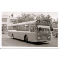 Black & White Photograph of Maidstone & Distric...
