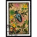 Mongolia 1972 Insects 60M Used Stamp