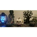 DISNEY MICKEY HALLOWEEN PARTY OOGIE BOOGIE BASH...