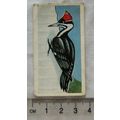 Junior Service Sweet Cigarettes card 21 Pilcate...