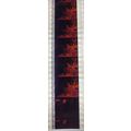 Dracula . Pk RED - A018r . 1 STRIP OF 10 - 35MM...