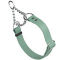 Dog Pet Martingale Collar W 1" x L 20"-26" Sage...