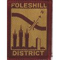 Scout Badge UK - Foleshill - Black Back (BY266)