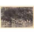 Cheverny Bat L'eau France Postcard unused damaged