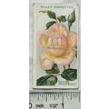 1914 Wills Roses 2nd Series No. 84 Mme. Melaine...