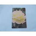 WEBBS GARDENING CARD / HYBRID ROSES (1) (21/06)