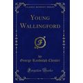 Young Wallingford (Classic Reprint)