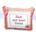 Shabby Chic Pillow Small Decorative Mum and Bes...