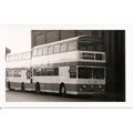 Black & White Photograph of SELNEC P.T.E. - UWH...