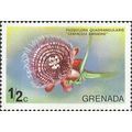 GRENADINES, FLOWER, Granadilla, Passiflora, gre...