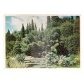 HEALTH RESORT, CRIMEA unused vintage postcard (b)