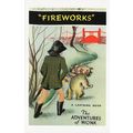 Fireworks The Adventures Of Wonk Ladybird 1961 ...