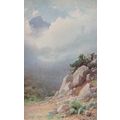 Tree Woodland Krim Crimea Crimean Mountain Russ...