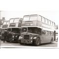 Black & White Photo of Thames Valley Traction C...
