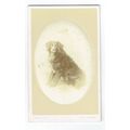 Victorian cdv photo dogs dog Upper Norwood Lond...