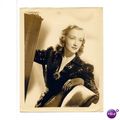 NINA FOCH Columbia Pictures Portrait Still