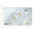 PHONE CARD - JAPAN - WHITE ORCHID