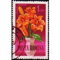 Romania. 1964 1L S.G.3139 Used