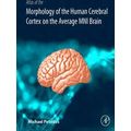 Atlas of the Morphology of the Human Cerebral Cortex on the Average Mni Brain