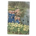KEUKENHOF gardens LISSE, HOLLAND unused postcard =