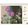 Pyrenees Flowers Postcard used VGC