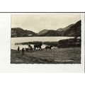 Wales GWYNANT LAKE Postcard by Marimex (NW.5911)
