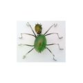 Green Agate Spider Stainless Wire Wrap Pin Broo...