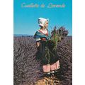 Cueillette de Lavande France Postcard posted 19...