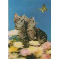 Kittens Cat Butterfly Japan Dubai 1970s Three D...