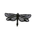 Large Dragonfly Iron On Patch Embroidered Black...