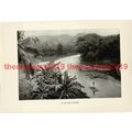 Rio Cobre, Jamaica, Book Illustration (Print), ...