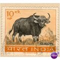 India 1963 - SG 472 - Gaur 10np - used
