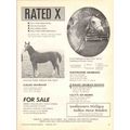 galles fleetwood arabians 1972 surr ghalii star...