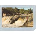 MN Pine City Postcard Greetings Pine City Minn ...