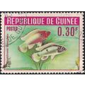 GUINEA, FISH, Jewelfish, rose 1964, 0.30F