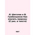 A. Shigolev and V. Grebenshchikov How to study ...