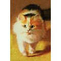 A Hungry Kitten Cat Ladybird 1970s Childrens Bo...
