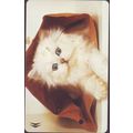 Cats S'pore SMRT Train Card