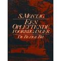 Een Oplettende Voorbijganger