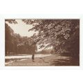 The Long Walk and Hampton Court Palace Postcard...