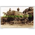 YEW TREE COTTAGE, CATSFIELD, SUSSEX, ENGLAND, P...