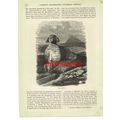 Sphinx At Giza, Egypt, Book Illustration (Print...