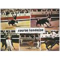 40 - COURSE LANDAISE