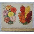1940 Amateur Gardening illustration - Border Ca...