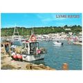 Lyme Regis, Dorset - Harbour Entrance, fishing ...
