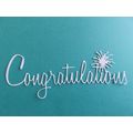 6 x Sheena Douglass Die Cuts Congratulations