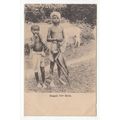Bengali Cow Herds Ethnic India Postcard Posted ...