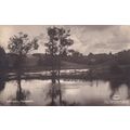 Ranneslov Lake Smedjean Antique Swedish Postcard
