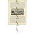 Turkoman Burial, Turkistan, Book Illustration (...